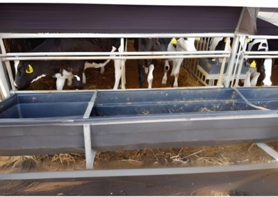 Animal handling facilities