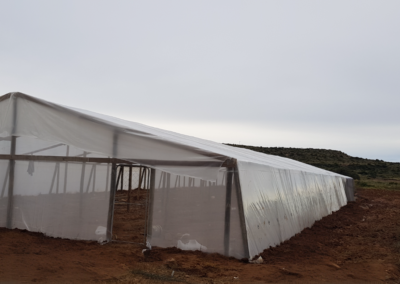 bryssmart greenhouses