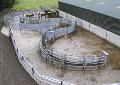 Bryssmart Cow Animal handling facilities